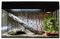 Lucky Reptile Starter Kit Schlange, Farbe:Schwarz, Terrarienmaße (B/T/H):80 x 40 x 52 cm