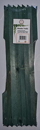 kanta Wooden Trellis - Decoration Fence/Expanding Support for Garden Plants/Retractable Flower Stand, Folding Courtyard Brass Frame/Folding Fence / 180cm X 60cm / Multipacks (1, Green)