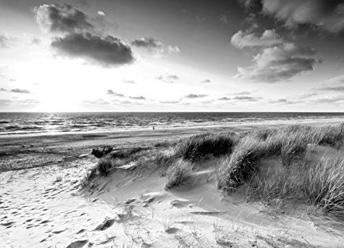 Papier Peint Photo INTISSÉ-DUNES-250x186 cm-(1553AE)-Plage Mer Nature Caraïbes Océan Paysage Noir et Blanc Côte Colle Inclus Mural Décor Motif Poster Géant Stickers Muraux Optique Moderne Fond Effet