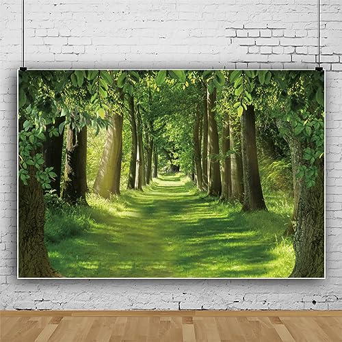 ASDCXZ Wald Foto Hintergrund 3x2.5m, Grün Blätter Dschungel Sonnenschein Fotowand, Vinyl Fotobox für Person Familie Fotografie, Portrait Fotostudios