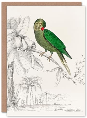 Artery8 Oliver Goldsmith Art Card Green Parakeet Parrot Drawing