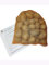 Pflanzkartoffeln Belana, 2,5 kg (ca. 35 Stück) festkochend, Premium Saatkartoffeln, frühreifenden Kartoffelsorte, gelbfleischig lange lagerfähig