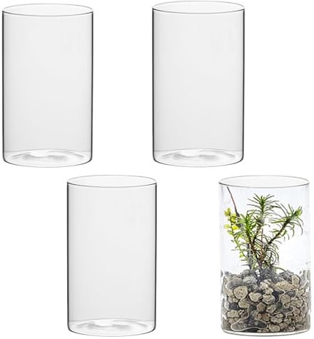 ZOFUN 4 Stück 15cm Glasvase Gross Klar Glasvase Zylinder Runde, Glaszylinder Vase Kleine Vasen für Tischdeko, Rosen, Tulpen, Pampasgras, Tischdeko, Kerze