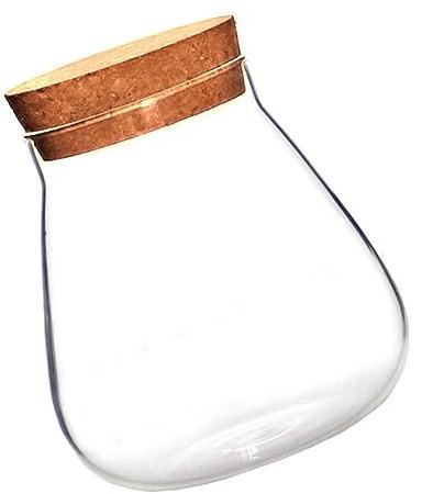 ifundom Bouteille en Verre Borosilicate Marron Transparente 1 Pièce Bocal De Voyage en Liège Bocal À Crème Bol Couvercle en Liège Terrarium Aquarium Hydroponique Ornements