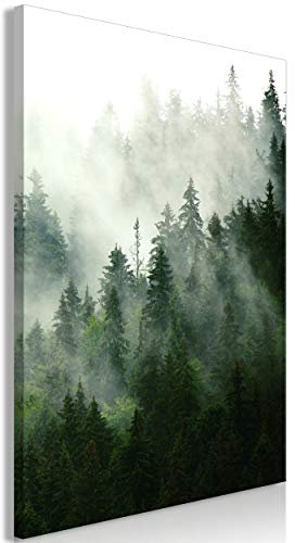 decomonkey Bilder Wald 80x120 cm 1 Teilig Leinwandbilder Bild auf Leinwand Vlies Wandbild Kunstdruck Wanddeko Wand Wohnzimmer Wanddekoration Deko Natur Landschaft