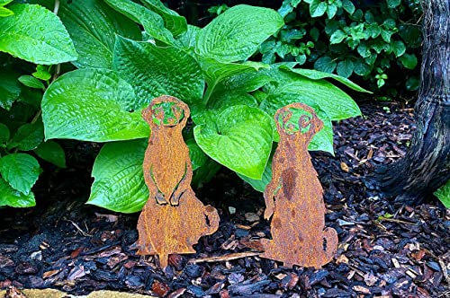 Illumino Gartendeko Beetstecker Gartenstecker 2er Erdmännchen Set Edelrost-Stahl, Dekofigur Garten, Rost Stecker