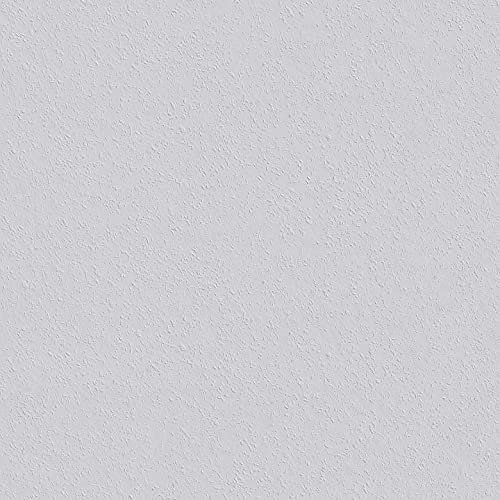 Erfurt, carta da parati in fibra ruvida, colore bianco, stampa granulare, carta da parati in fibra grezza (1 rotolo di sprint)