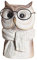 Fenteer Niedlicher Blumentopf Tier Harz Sukkulenten Pflanzer Schreibtisch Ornament, Dekorative Blumenvase Tierkopf Statue Figurine für Schule, Blumenladen, Eule