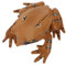 WOONEKY Froschmodell Lebendige Frösche Spielzeug Kleine Frösche Spielzeugfrösche Realistischer Gefälschter Frosch Frösche Modelldekoration Frösche Figur Kleine Frösche