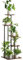 AxisFurn 5 Etagen hohe Blumenständer, Pflanzenständer Hölzern Metall, Pflanzenregal Ecke Innen Außen, Blumentreppe Mehrstöckig, Blumenregal für Garten Balkon Büro Wohnzimmer 111 cm (5 Etagen-1)