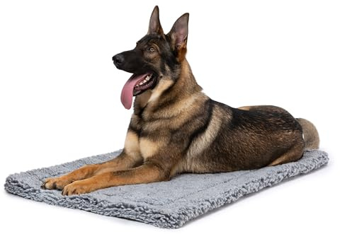 PELZIN Kausicheres Hundebett - Flauschige Kauwiderstandsfähige Hundematte - Robuste Dog Bed für Starke Kauer - Waschbar, Ideal für Extra Große Rassen & Passt für 122cm Box - 119x74x5cm, Anthrazit