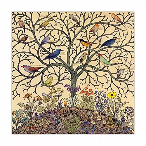 marca generica Arbre de vie oiseaux chanteurs tropicaux Art toile peinture oiseaux exotiques affiches et impressions mur Art photos pour salon décor à la maison sans cadre-40x40cm