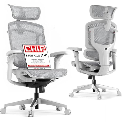 FLEXISPOT ErgoX Pro Ergonomischer Bürostuhl mit 12-stufiger Höhenverstellung, 7D-Armlehnen, 5D-Lendenstütze, 4D-Kopfstütze, 250-kg Belastbarkeit und atmungsaktivem Netzsitz (Grau)