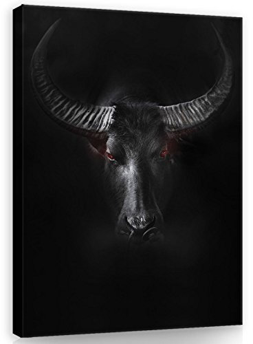 Forwall - Leinwand Bilder - Bull schwarz Tiere - 100x75 cm Leinwandbilder - Bild auf leinwand - Wandbild XXL groß Wandbilder für Wohnzimmer Schlafzimmer Wohnzimmerbilder Modern