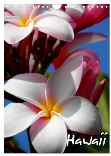 Hawaii (Wandkalender 2026 DIN A4 hoch), CALVENDO Monatskalender: Hawaii - die Schönheit der Natur (CALVENDO Orte)