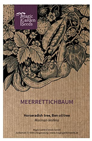 Meerrettichbaum (Moringa oleifera) - ca. 10 Samen tropischer Baum Super Food Gemüse Heilpflanze