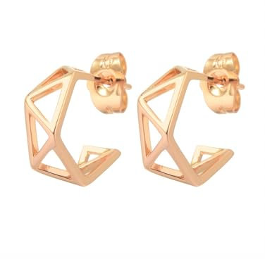 HUGE TOMATO 18K Gold Minimalistische Stil Geometrische Hypoallergene Metall Ohrstecker für Frauen Mädchen Geschenk