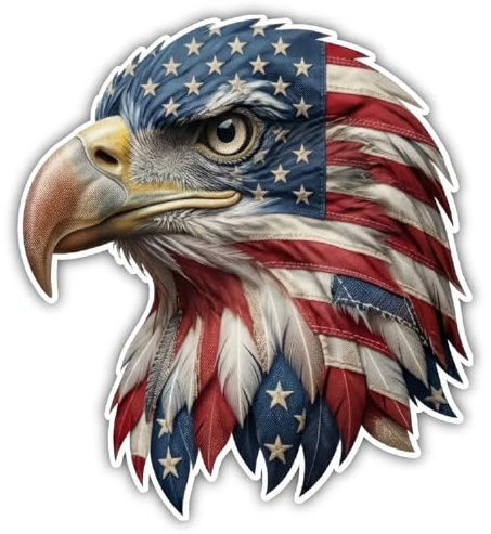 Samunshi® Adler USA Aufkleber Denkmal Car Decal Sticker für Mofa Roller oder Auto Sticker Fahrrad Mtb 14x15cm