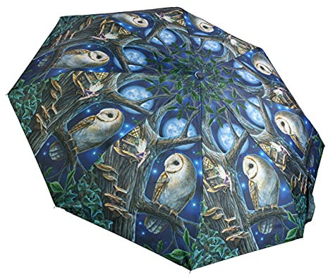 Fantasy Regenschirm mit Eule und Elfe - Fairy Tales, Motiv von Lisa Parker | Stockschirm, Taschen-Schirm, L 25 cm