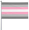 Dm Girl Pride Flagge, Willkommens-Party, Outdoor-Dekoration, Picks, Haus, Garten, Hof, Dekoration, 90 x 152 cm, große Flagge