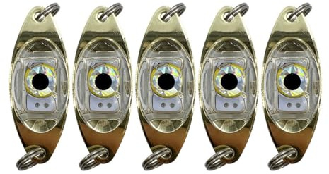 Angelköder Licht, 5 Stück LED Tiefer Tropfen Angellicht, Augenform, Leuchten Sobald Sie Wasser Gehen, Unterwasser Angeln Köder Lampe für Boot, Meer, Eisfischen