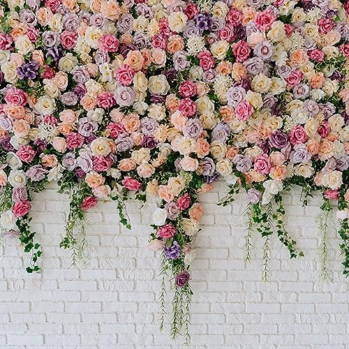 30 Pcs Rosen Pflanzen Winterhart Samen - Kletterrosen - Bienenwohl, Exotische Zimmerpflanzen Rankhilfe Rosen Deko Wohnzimmer, Topfpflanzen Draußen Winterhart Balkonpflanzen, Geschenke