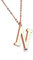 Bungsa BUCHSTABE N Kette Rosegold - BUCHSTABEN-ANHÄNGER N Halskette in Rosegold - Alphabet Kette rosé - aus Edelstahl - Schmuck für Damen, Kinder & Herren