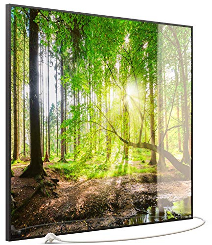 STEINFELD Glas Bild Infrarotheizung 1200 Watt – mit Thermostat | Motiv: 067 Wald Panorama | Rahmen: Schwarz | 7 Jahre Garantie | Made in Germany | für Wand Montage