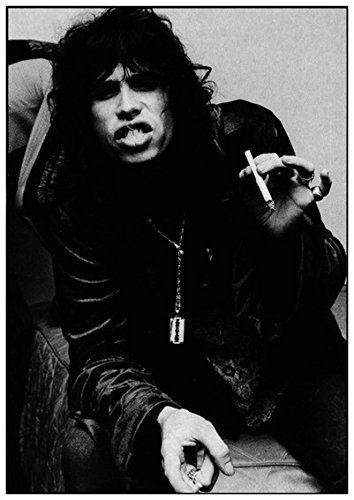 AFFICHE – Aerosmith – Steven Tyler – 59 x 84 cm – Display/Poster