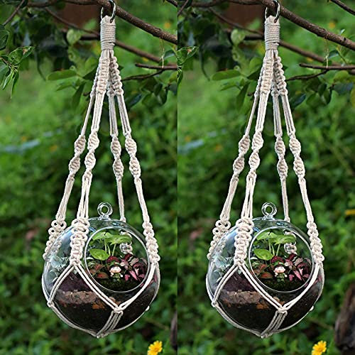 YCDC Blumenampel Baumwoll-Seil 2-teiliges Set With Ring No Tail, S 51cm, 2pcs