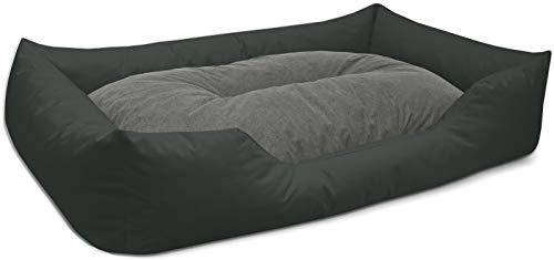 BedDog Hundebett Mimi, Hundesofa aus Cordura, Microfaser-Velours, waschbares Hundebett Vier-eckig mit Rand, Hundekissen für drinnen, draußen, XXXL, grau