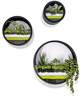 Vase à Suspendre Rond Vase de Jardinière Succulente-Pots à Fleurs en Métal,Plantes Décoratives pour l'intérieur Contenant de Fausses Plantes,Cactus,Couleur Noir foncé -Coffret Cadeau Ensemble de 3