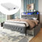 Kayan Polsterbett 160x200 mit LED und USB, Doppelbett mit 4 Stauraum Schubladen, Polster Kopfteil mit Regal, Stauraumbett Metallbett Jugendbett Bettgestell, Samtstoff (Grau, Mit Matratze, 160×200 cm)