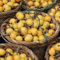 Wollmispel Baum Samen, balkongewächshäuser baumsamen exotische pflanzen seltene samen frisches obst obstgarten steingartenpflanzen geschenke für gärtner winterharte pflanzen für garten 20pcs