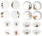 Wrendale Designs Royal Worcester 16-teiliges Geschirrset - 4 Gedecke