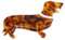 Kixolazr Pince à cheveux de teckel, pince à cheveux de chien saucisse, pinces à cheveux d'animaux mignons, pinces à cheveux antidérapantes, Barrette Funky, pinces à cheveux de teckel
