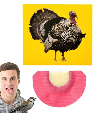 Fbinys Wacky Whistles Tiergeräusche, lustige Vogelpfeifenspielzeuge, Geräuschmacher - Neuartige Krachmacher-Spielzeuge in leuchtenden Farben - Fröhliche, ansprechende Geräuschmacher-Pfeifenspielzeuge