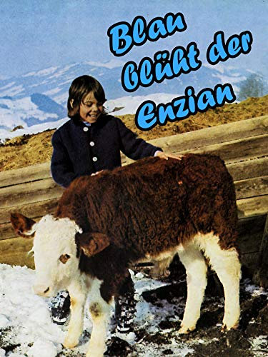 Blau blüht der Enzian