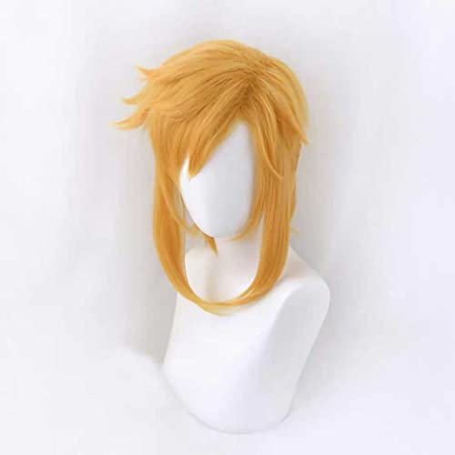 Dagua Cosplay Perücke,The Legend of Zelda Link Cosplay Perücke,Short Gold Perücke,Mit Kostenloser Perückenkappe,Halloween Kostüm Perücke,für Party Karneval Weihnachten(Color:Style 1)