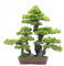 Künstliche Bäume Zypresse Willkommen Kiefer Bonsai Künstliche Bonsai Baum Gefälschte Pflanze Dekoration Topf Künstliche Zimmerpflanze Kiefer für Garten Home Decor (23,6 x 19,175,3 cm) Home Decoration