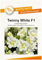 Blumensamen Twinny White Löwenmäulchen Portion