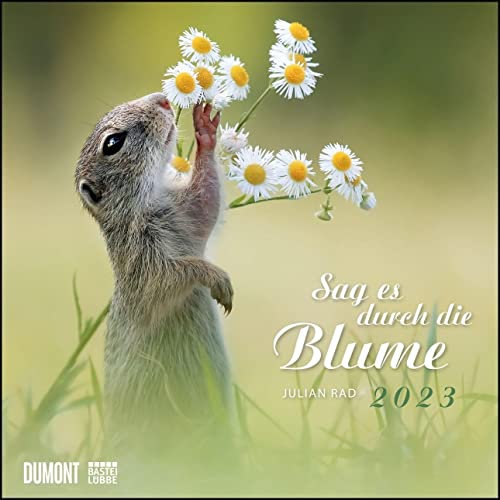 Sag es durch die Blume 2023 – Hamster, Eichhörnchen, Zwiesel in Nahaufnahme – Wandkalender mit Spiralbindung – DUMONT Quadratformat 24 x 24 cm