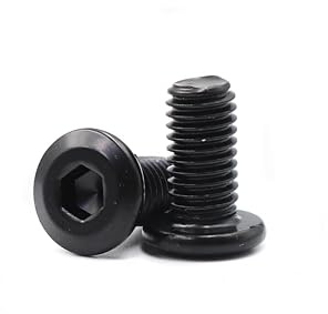 cSeao Confezione da 10 bulloni a testa piatta M8 x 14 mm, in acciaio inox 304, colore nero