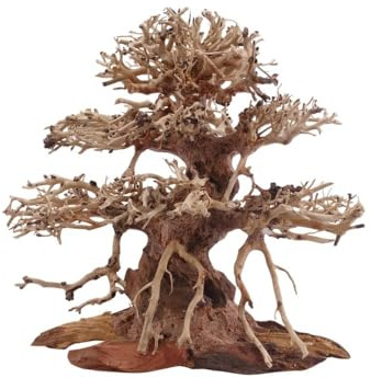 AquaOne Aquarium Premium Bonsai Baum M I Wurzel Oriental Holz 20x12x20 cm I Aquascaping Dekoration I Natur Unikat Bonsaibaum I Landschaft Deko Unterwasserlandschaft
