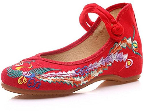 R&V Fashion Women Shoes Walking Dancing Embroidery Vintage Mary Jane Flats(6 UK(Insole:9.84 inch),Red)