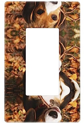 Bonito interruptor de luz decorativo Beagle o placa de pared para toma de corriente, para interruptor de luz, atenuador, receptáculo