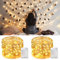 Fairy Lights, 2 Pack 10M 100 LED String Lights Mini Battery Operated Copper Twinkle Lights, Warm White Fairy String Lights for Indoor Outdoor Christmas Decorations, Party, Wedding, Bedroom, Birthday