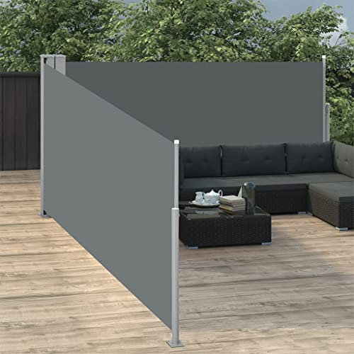 FIRBNUS Toldo lateral extensible, color antracita, 100 x 1000 cm, protección visual para balcón, terraza, jardín, protección contra el sol y el viento, para balcón, terraza, jardín, diseño sencillo y