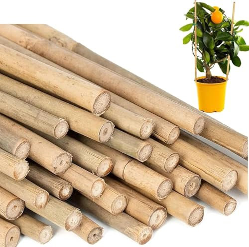Almineez 20 x Natural Bamboo Plant Support Sticks 60cm / 2FT Plant Stakes Split Canes, Floral Sticks Garden Flower Sticks for Orchid Pea Vegetables Support Floral Plant Stakes