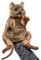 Hansa Creation - Kuscheltier - Handpuppe Quokka